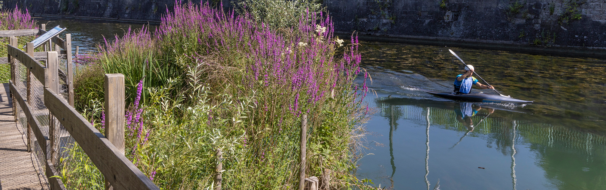 Le canal de Huningue traverse sur le Parc des eaux vives.